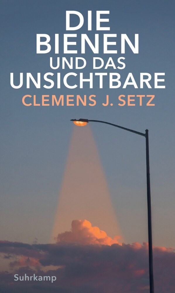 Die Bienen und das Unsichtbare (Clemens J. Setz)
