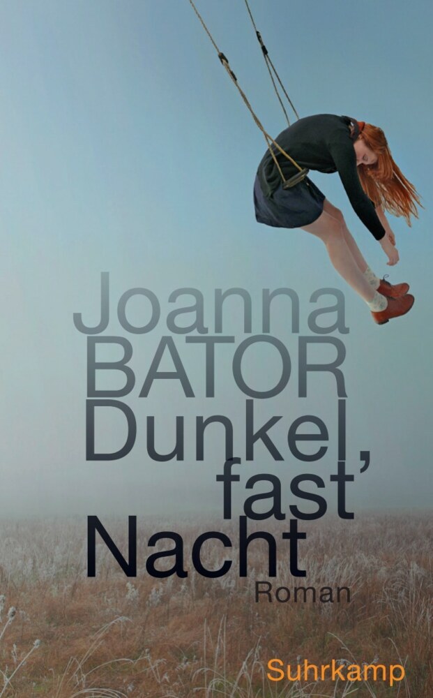 Dunkel, fast Nacht (Joanna Bator)
