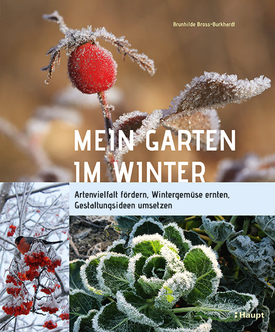 Mein Garten im Winter (Brunhilde Bross-Burkhardt)