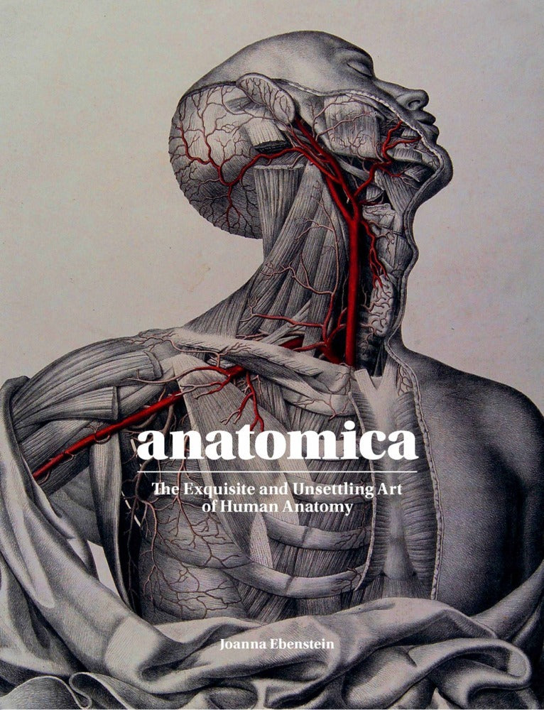 Anatomica (Johanna Ebenstein)