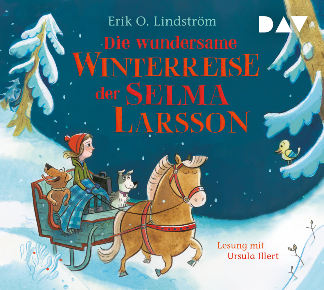 Die wundersame Winterreise der Selma Larsson, 2 Audio-CD (Erik Ole Lindström)