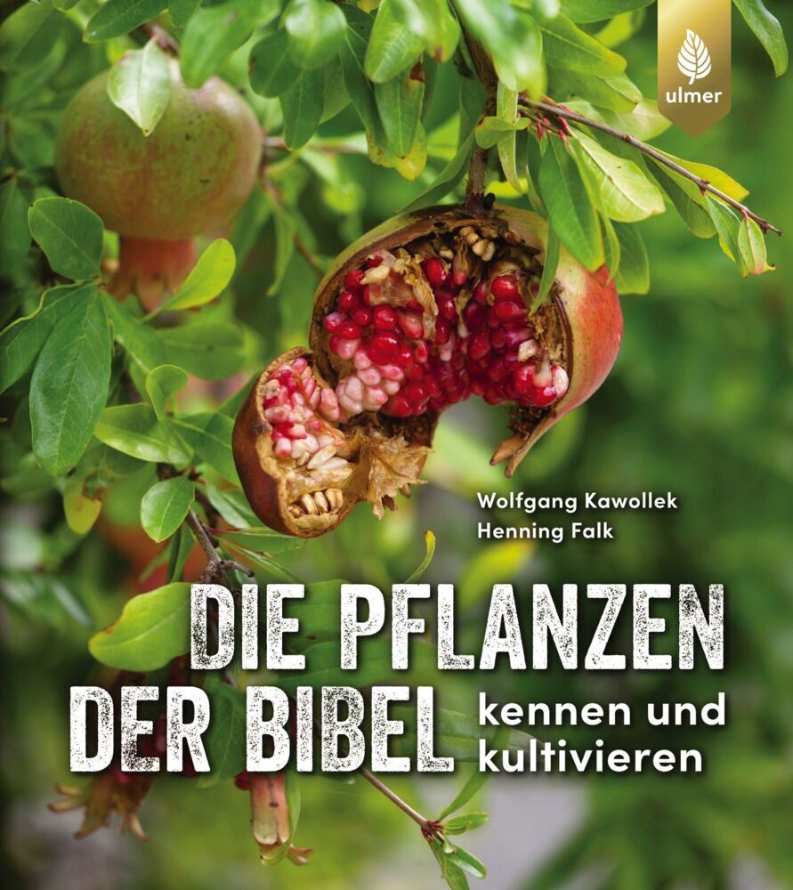 Die Pflanzen der Bibel (Wolfgang Kawollek)