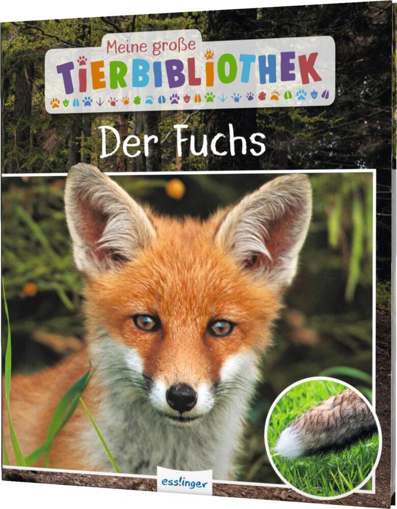 Meine große Tierbibliothek: Der Fuchs (Christian Havard)