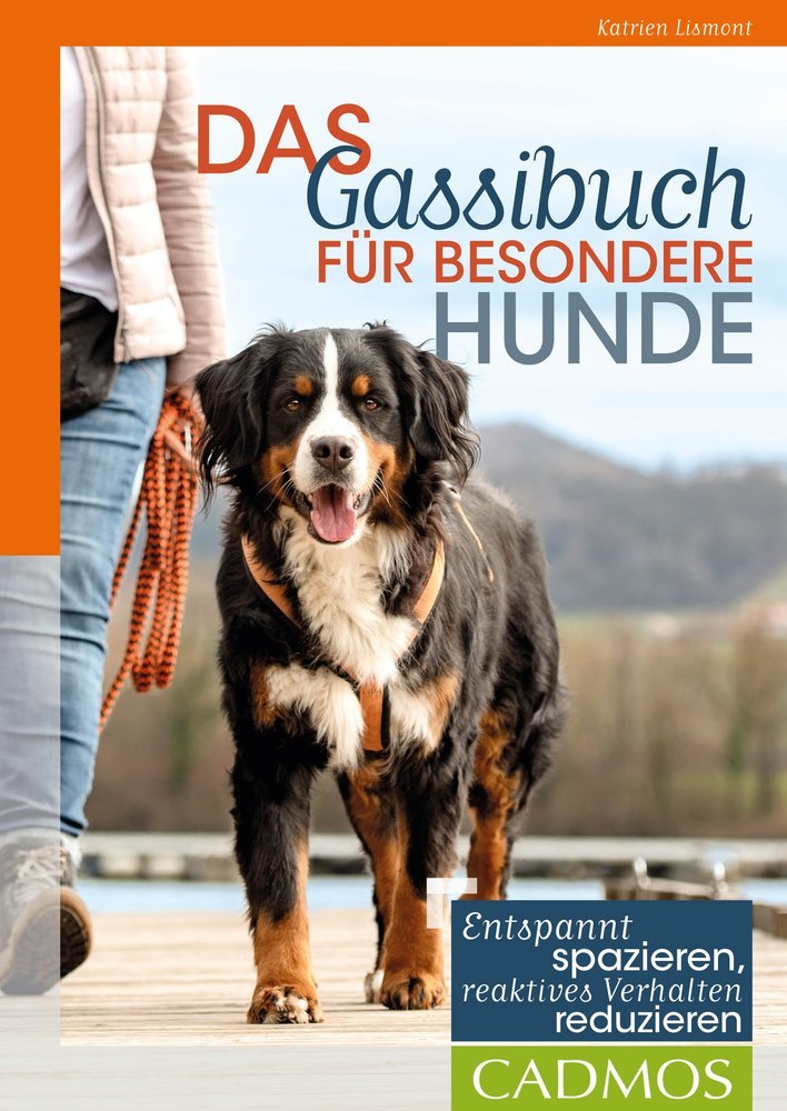 Das Gassibuch für besondere Hunde (Katrien Lismont)
