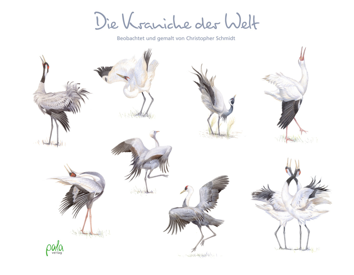 Die Kraniche der Welt (Christopher Schmidt)