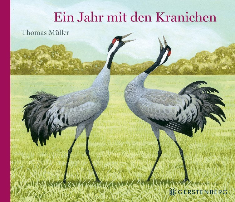 Ein Jahr mit den Kranichen (Thomas Müller)