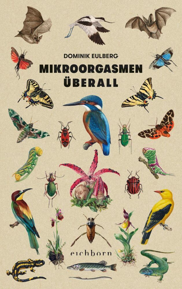 Mikroorgasmen überall (Dominik Eulberg)
