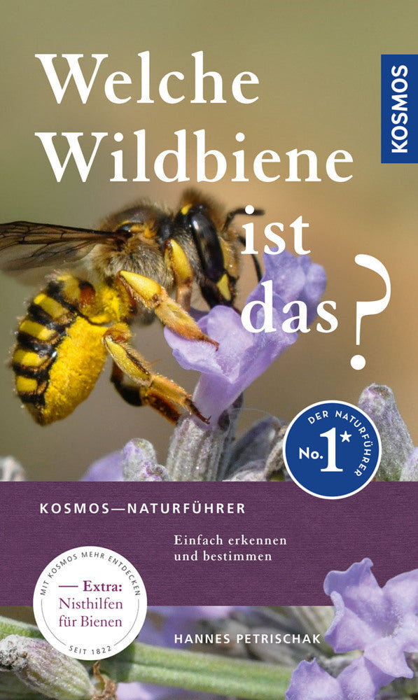Welche Wildbiene ist das? (Hannes Petrischak)