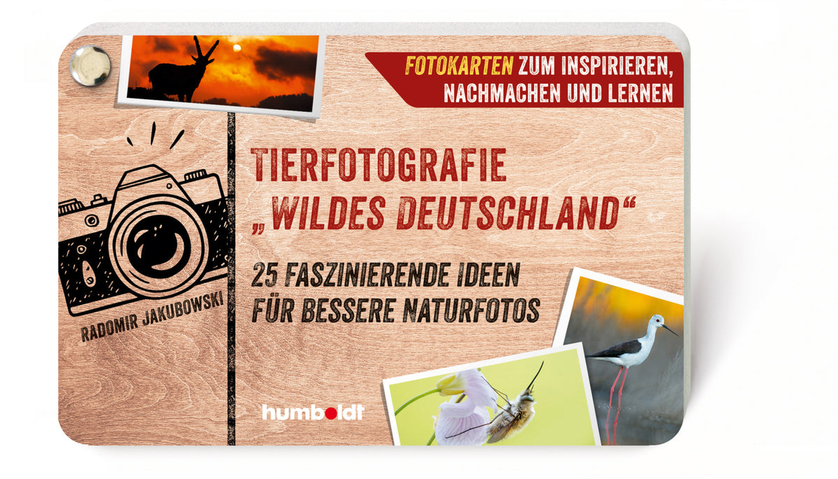 Tierfotografie "Wildes Deutschland" (Radomir Jakubowski)