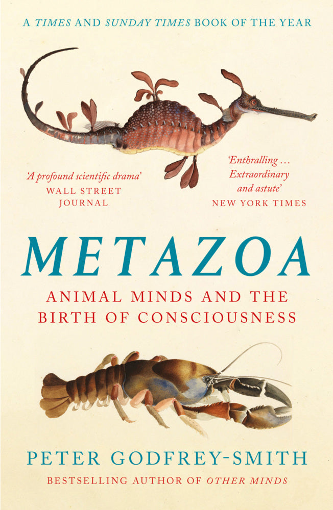 Metazoa (Peter Godfrey-Smith)