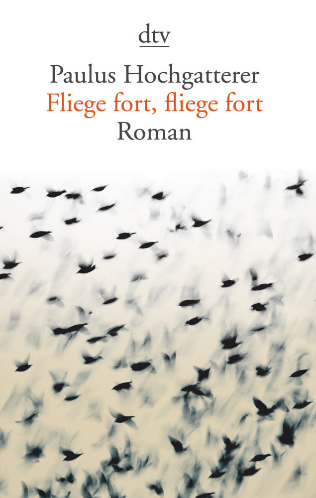 Fliege fort, fliege fort (Paulus Hochgatterer)