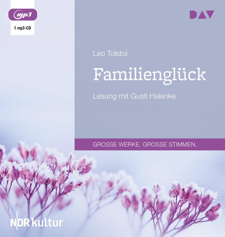 Familienglück, 1 Audio-CD, 1 MP3 (Leo N. Tolstoi)