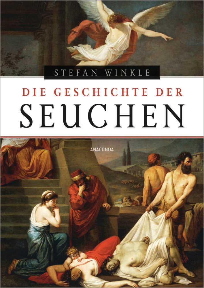 Die Geschichte der Seuchen (Stefan Winkle)