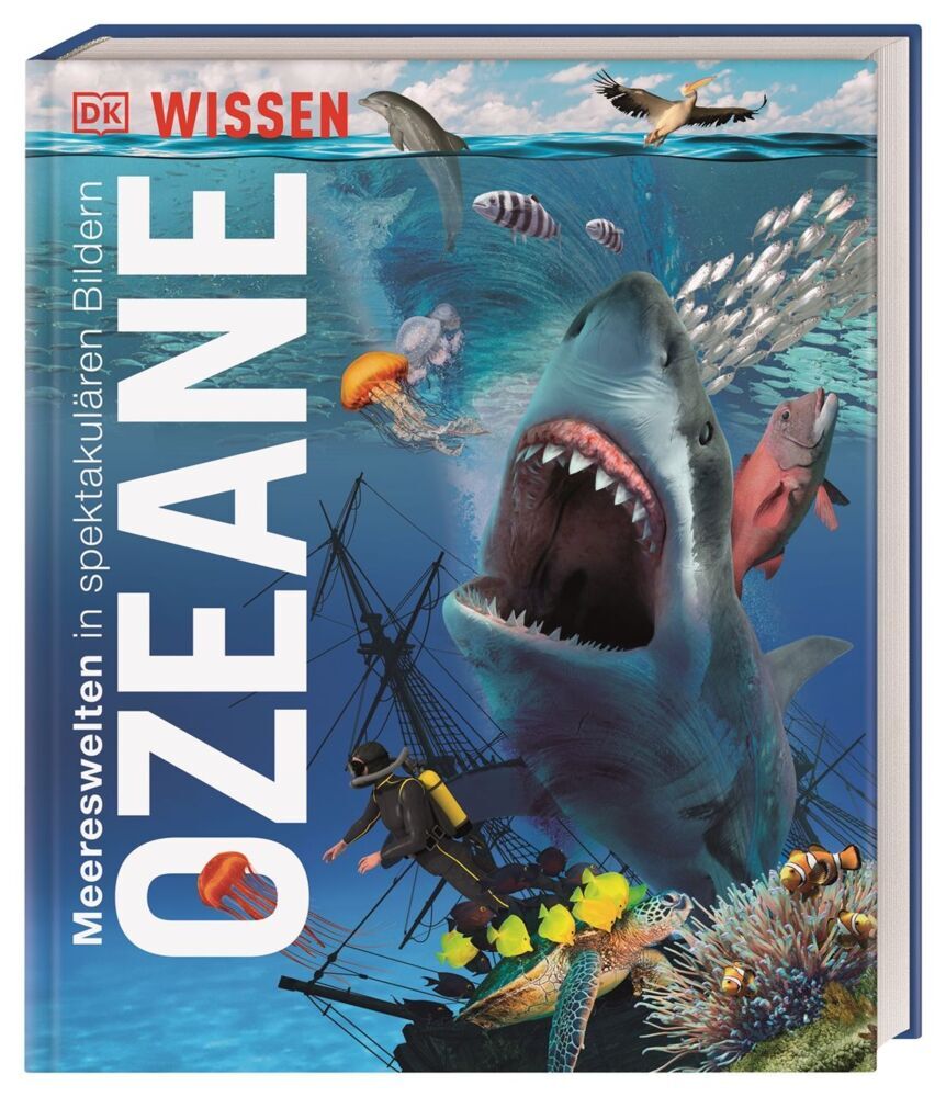 DK Wissen. Ozeane (Derek Harvey)