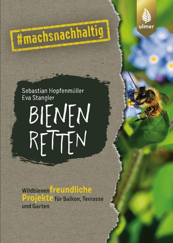 Bienen retten (Sebastian Hopfenmüller)