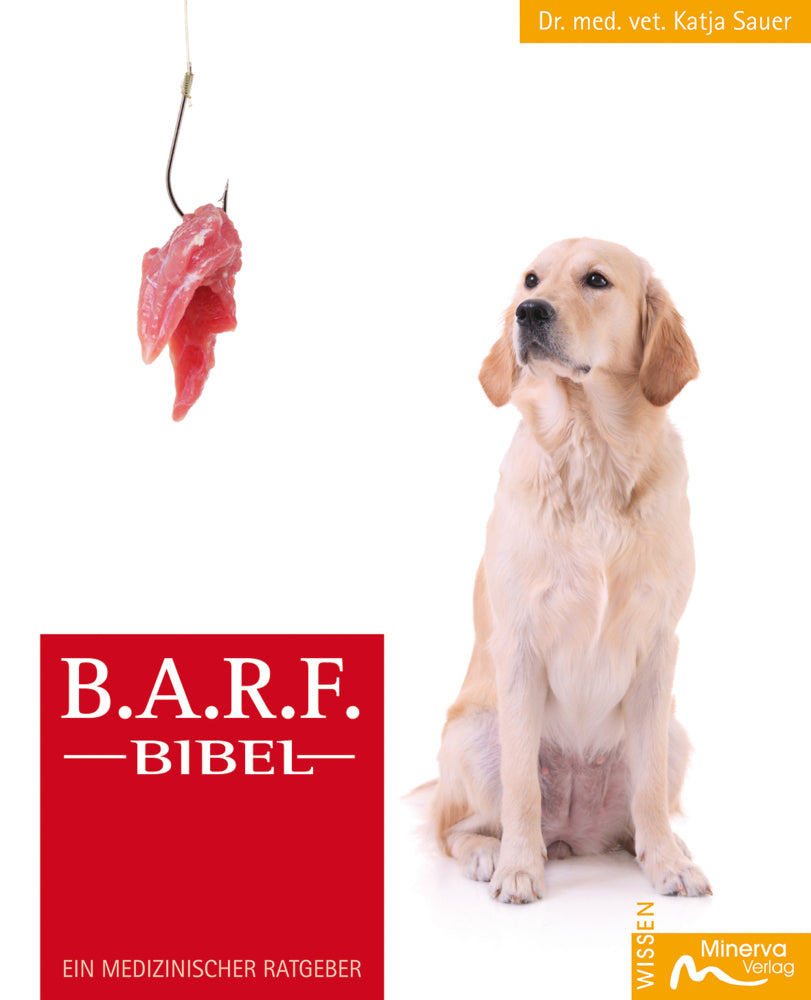 B.A.R.F.-Bibel (Katja Sauer)