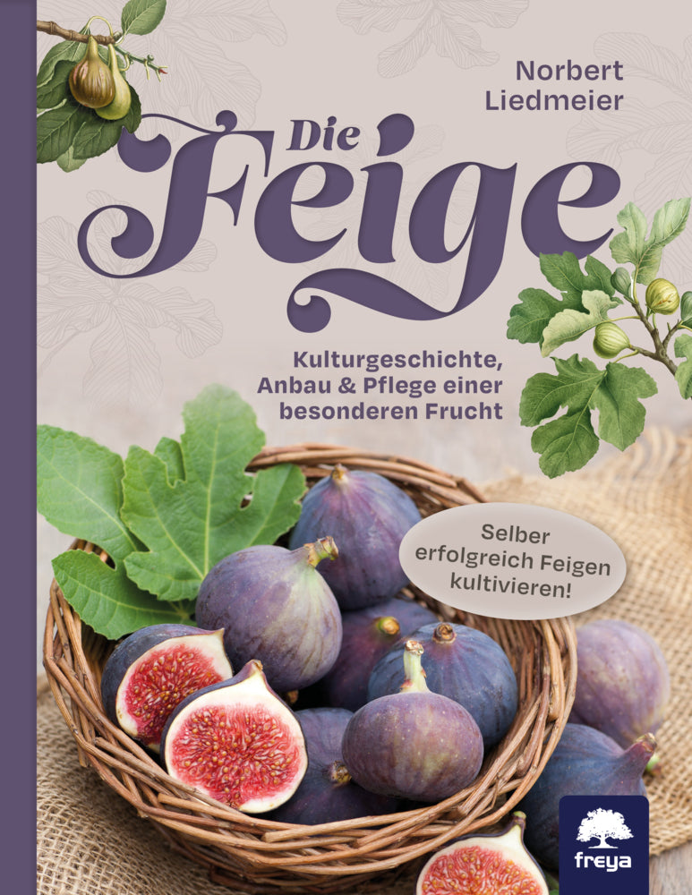 Die Feige (Norbert Liedmeier)