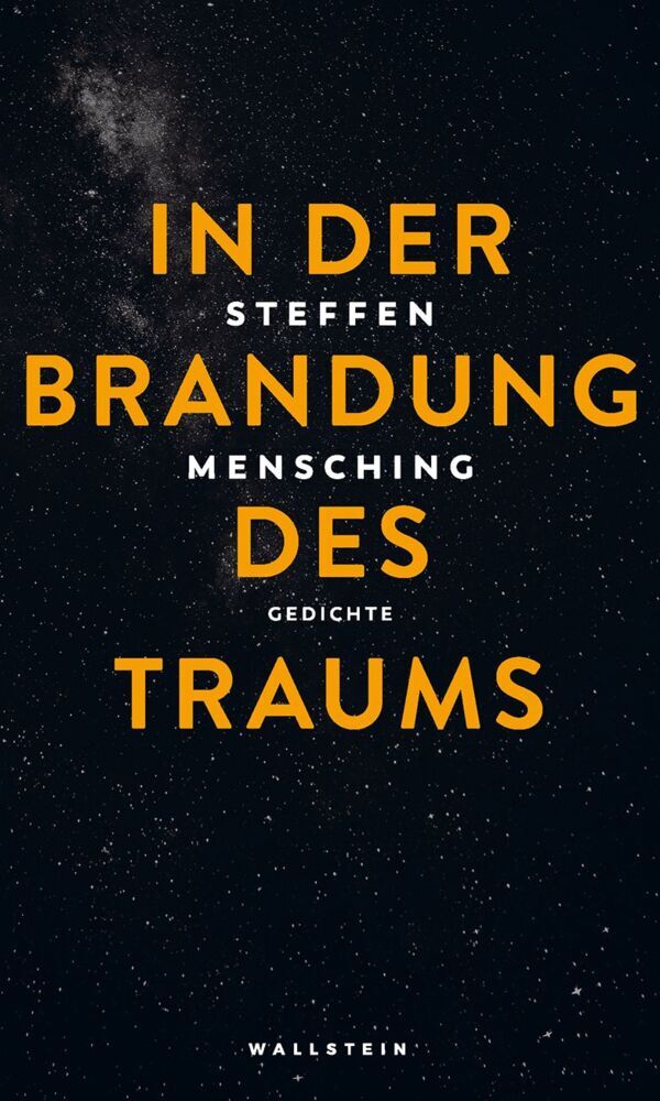 In der Brandung des Traums (Steffen Mensching)