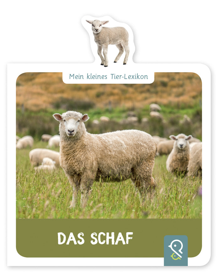 Das Schaf (Hannah Kastenhuber)
