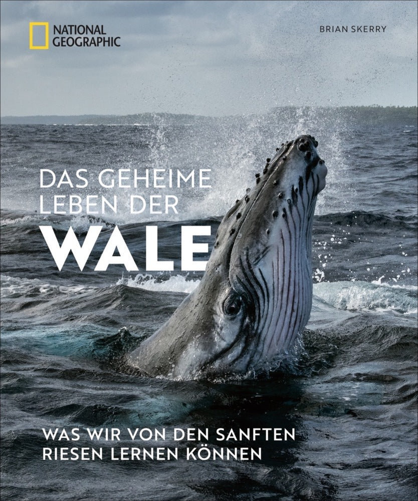 Das geheime Leben der Wale (Brian Skerry)