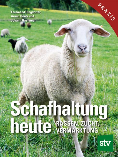 Schafhaltung heute (Ferdinand Ringdorfer)