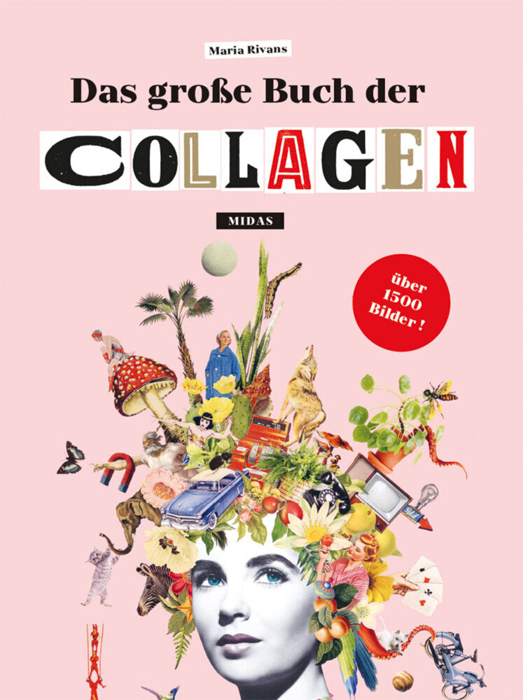 Das große Buch der Collagen (Maria Rivans)