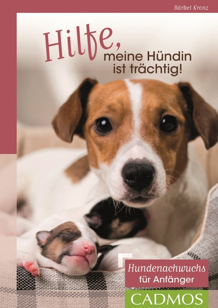 Hilfe, meine Hündin ist trächtig! (Bärbel Kronz)