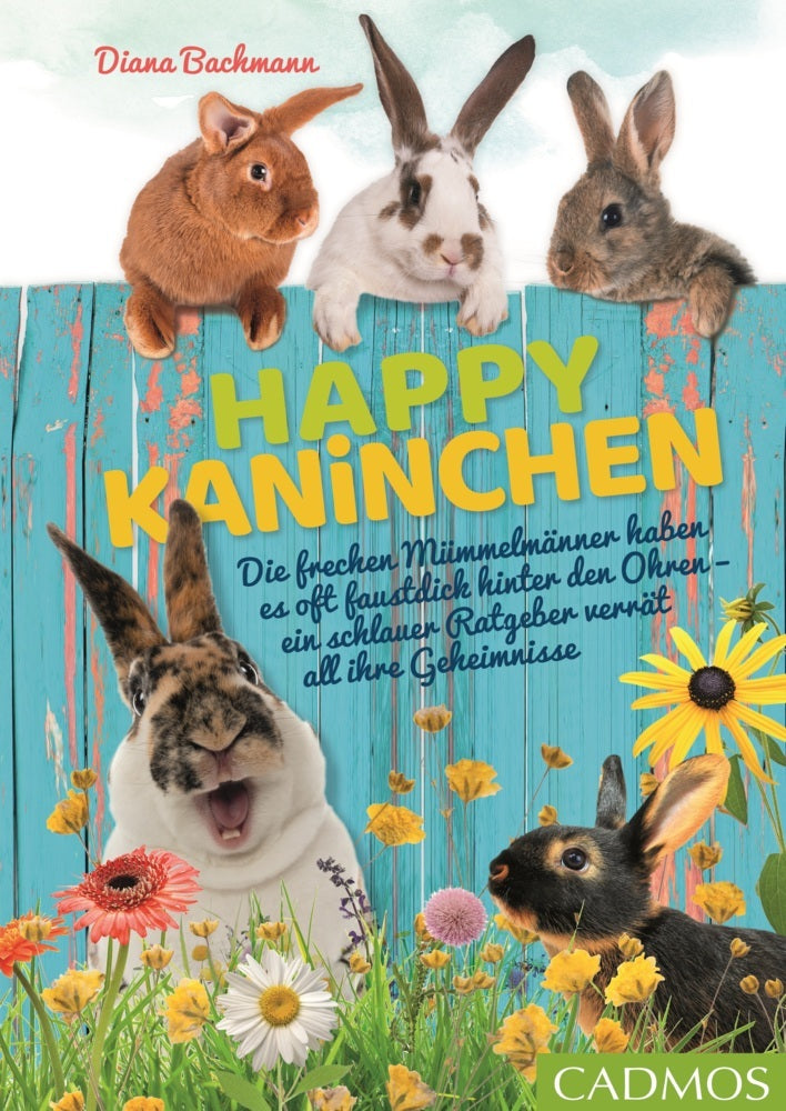 Happy Kaninchen (Diana Bachmann)