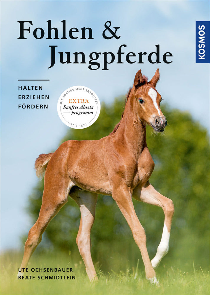 Fohlen und Jungpferde (Beate Schmidtlein)