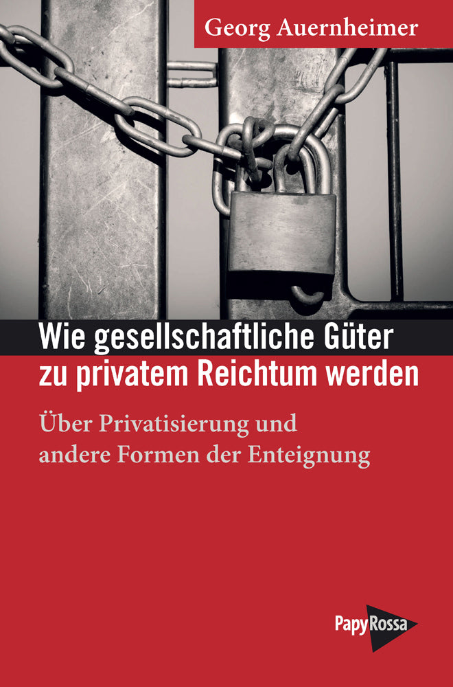 Wie gesellschaftliche Güter zu privatem Reichtum werden (Georg Auernheimer)