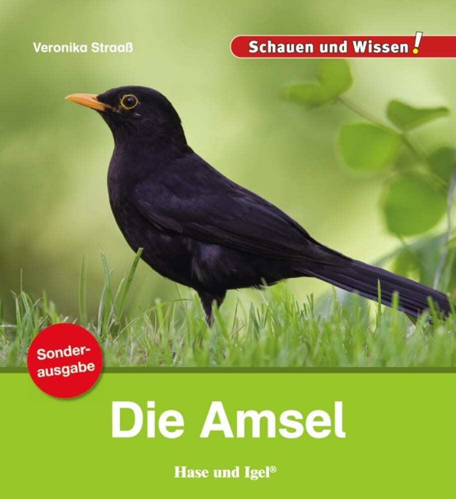 Die Amsel / Sonderausgabe (Veronika Straaß)