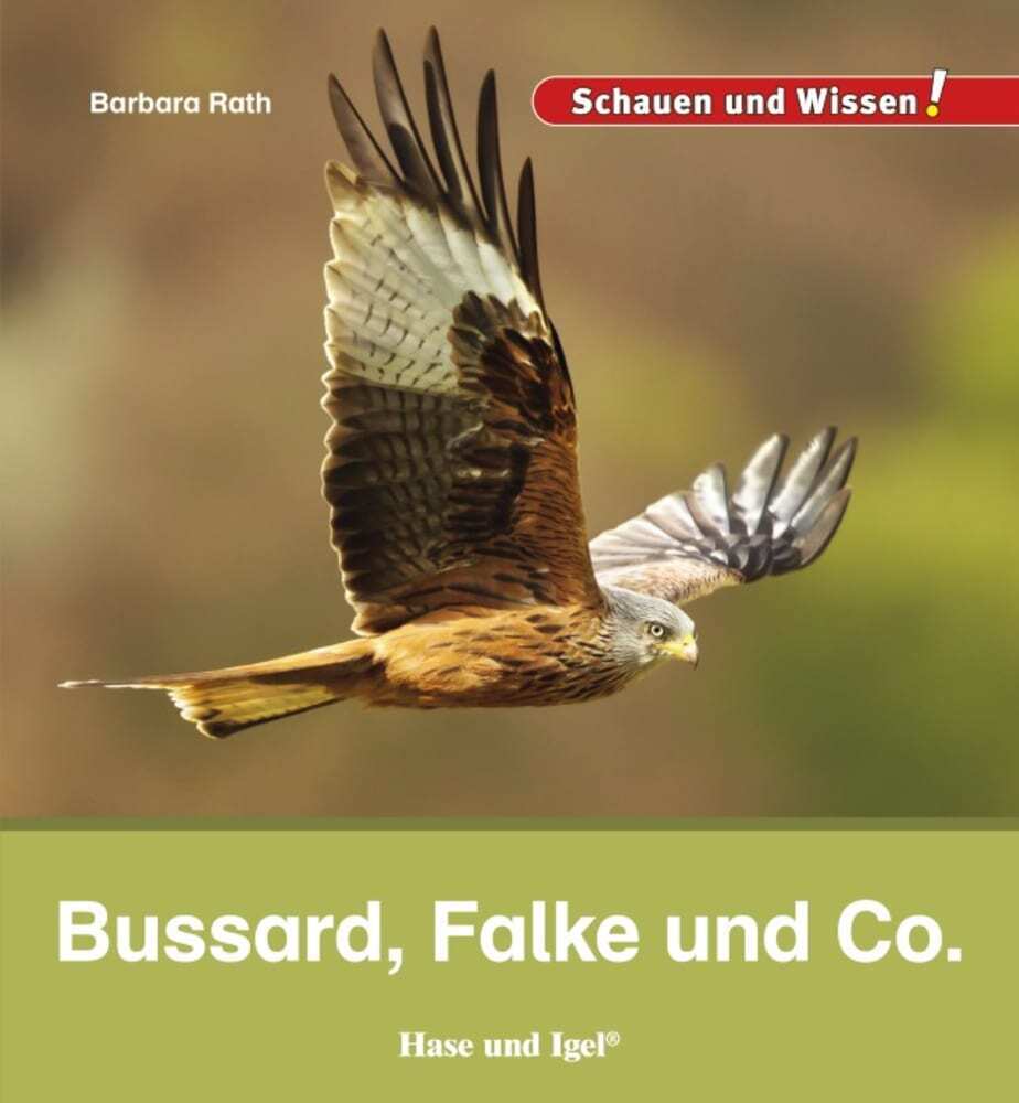 Bussard, Falke und Co. (Barbara Rath)