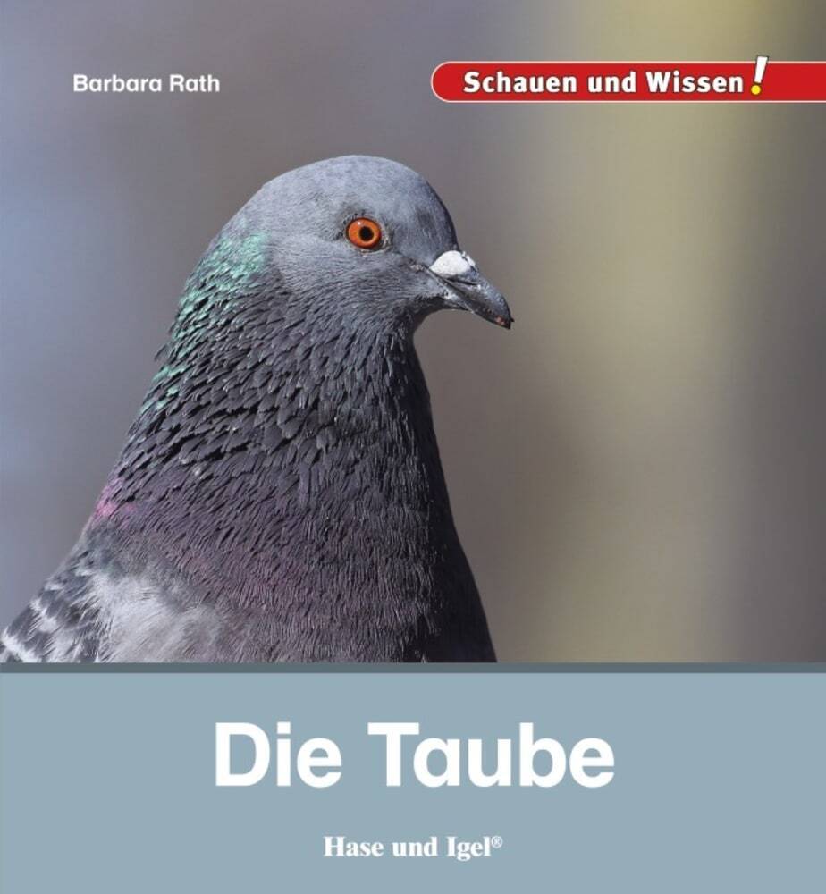 Die Taube (Barbara Rath)