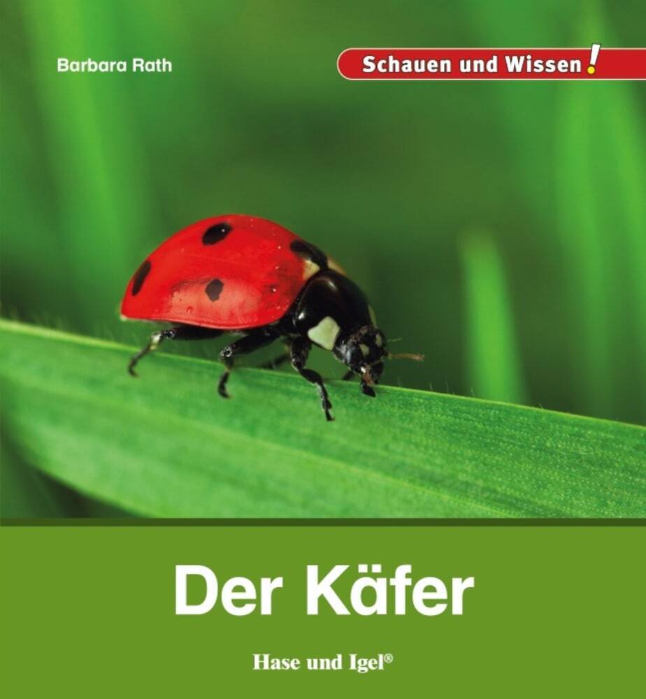 Der Käfer (Barbara Rath)