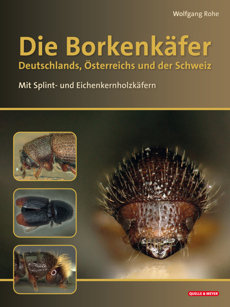 Die Borkenkäfer Deutschlands, Österreichs und der Schweiz (Wolfgang Rohe)
