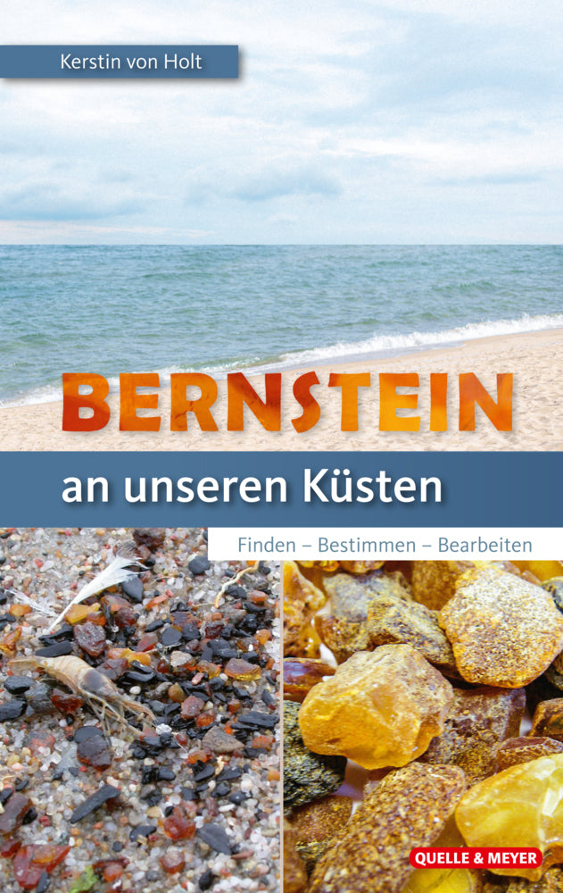 Bernstein an unseren Küsten (Kerstin Von Holt)