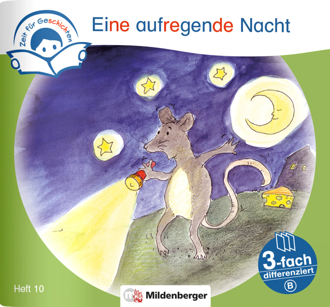Zeit für Geschichten - 3-fach differenziert, Heft 10: Eine aufregende Nacht - B (Bettina Erdmann)