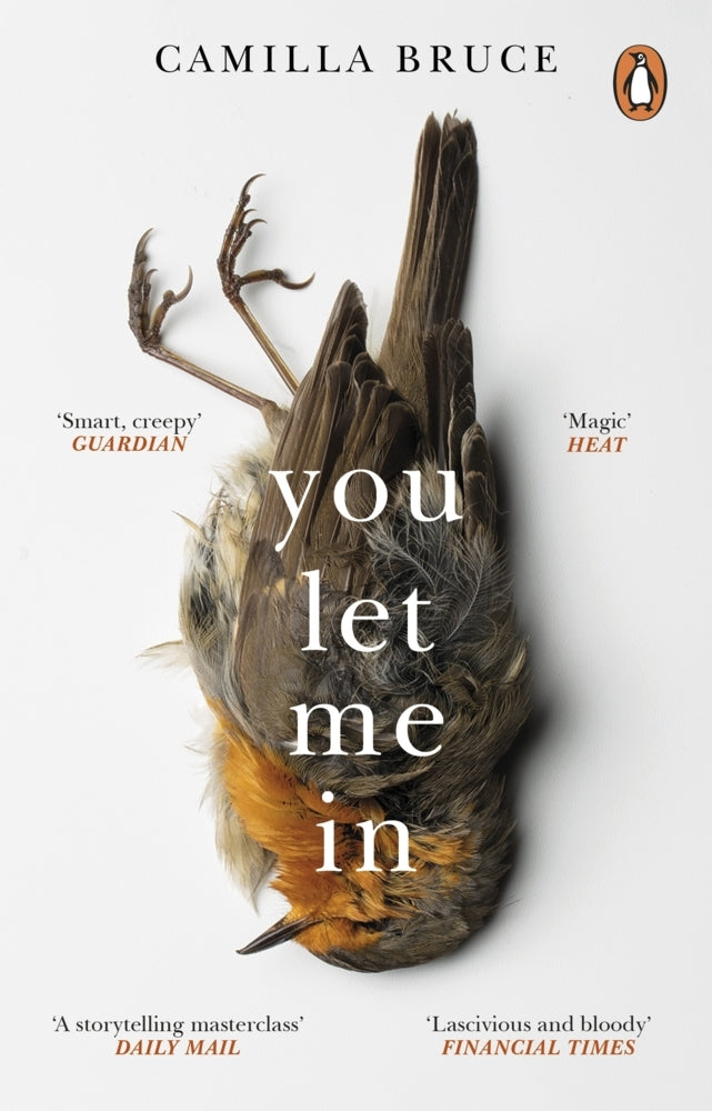 You Let Me In (Camilla Bruce)