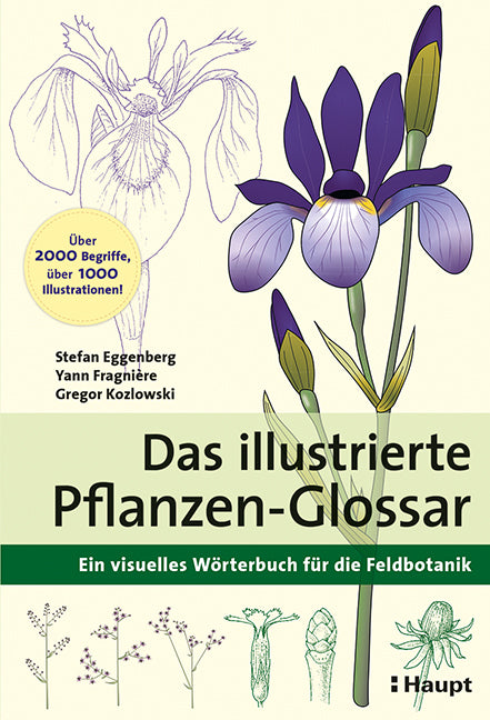 Das illustrierte Pflanzen-Glossar (Stefan Eggenberg)