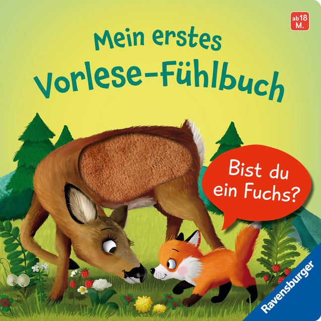 Mein erstes Vorlese-Fühlbuch - Bist du ein Fuchs? (Kathrin Lena Orso)