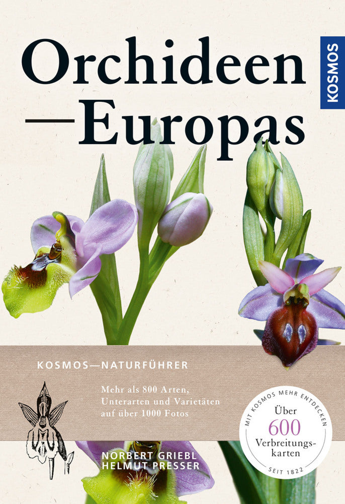 Orchideen Europas (Norbert Griebl)