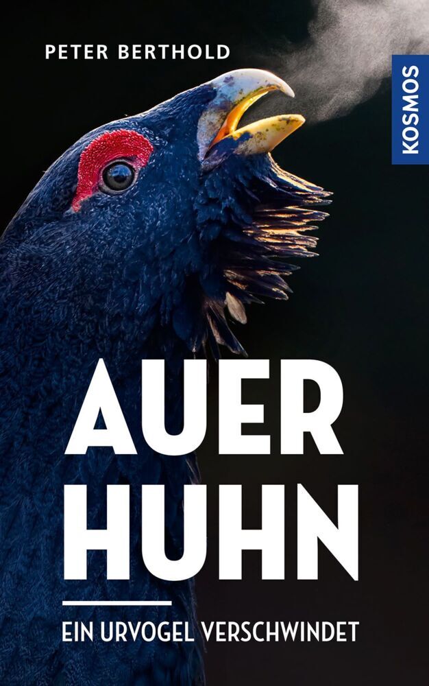 Auerhuhn (Peter Berthold)