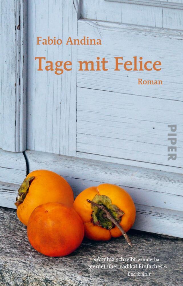 Tage mit Felice (Fabio Andina)