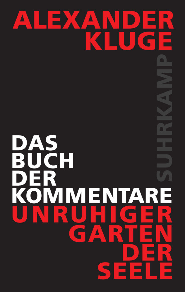 Das Buch der Kommentare (Alexander Kluge)