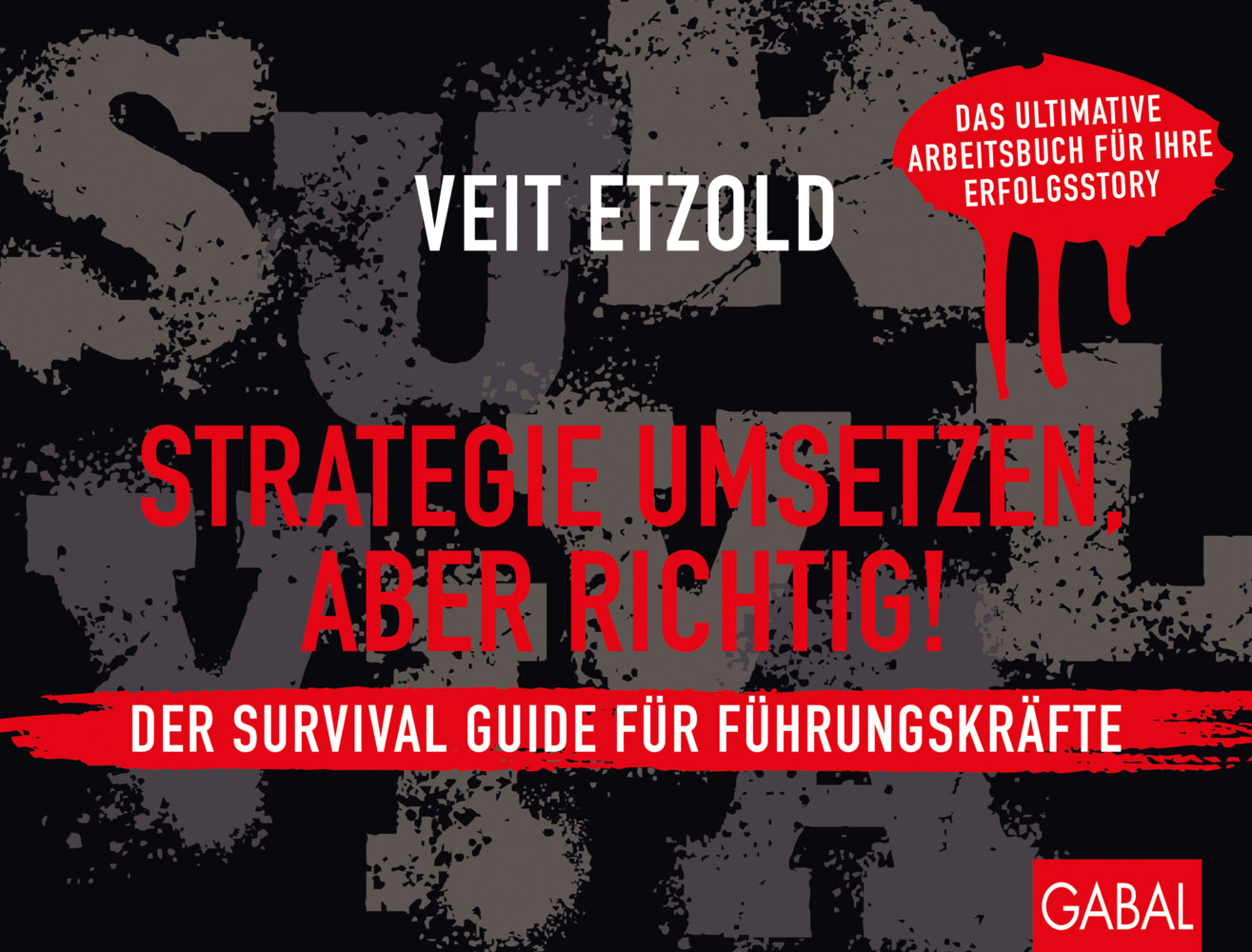 Strategie umsetzen, aber richtig! Der Survival Guide für Führungskräfte (Veit Etzold)