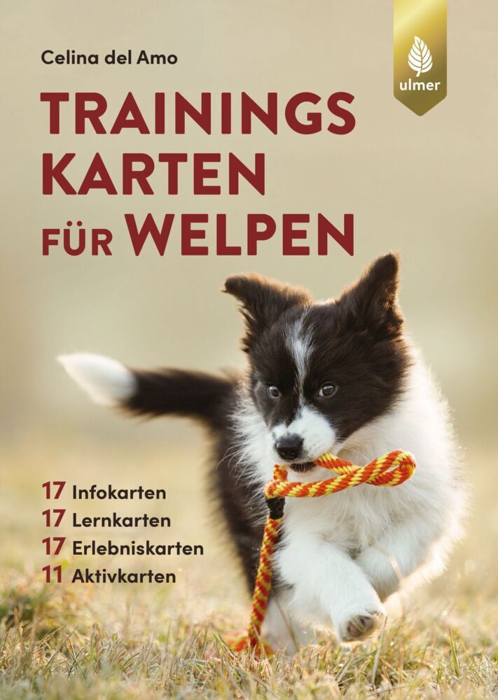 Trainingskarten für Welpen (Celina Del Amo)
