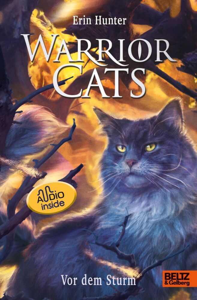Warrior Cats. Die Prophezeiungen beginnen - Vor dem Sturm (Erin Hunter)