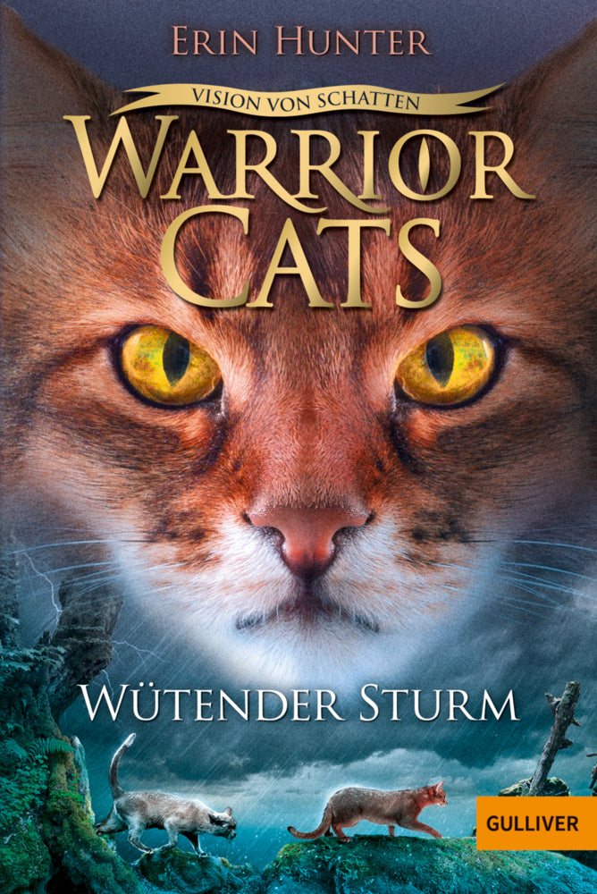 Warrior Cats - Vision von Schatten. Wütender Sturm (Erin Hunter)