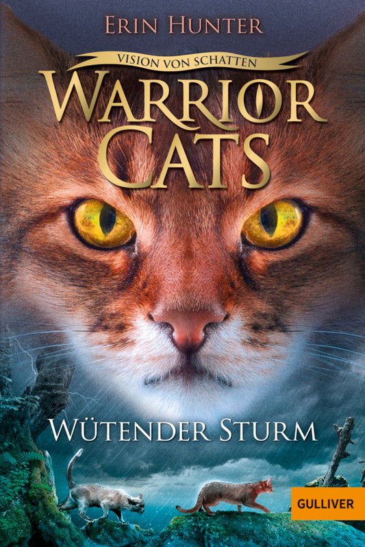Warrior Cats - Vision von Schatten. Wütender Sturm (Erin Hunter)
