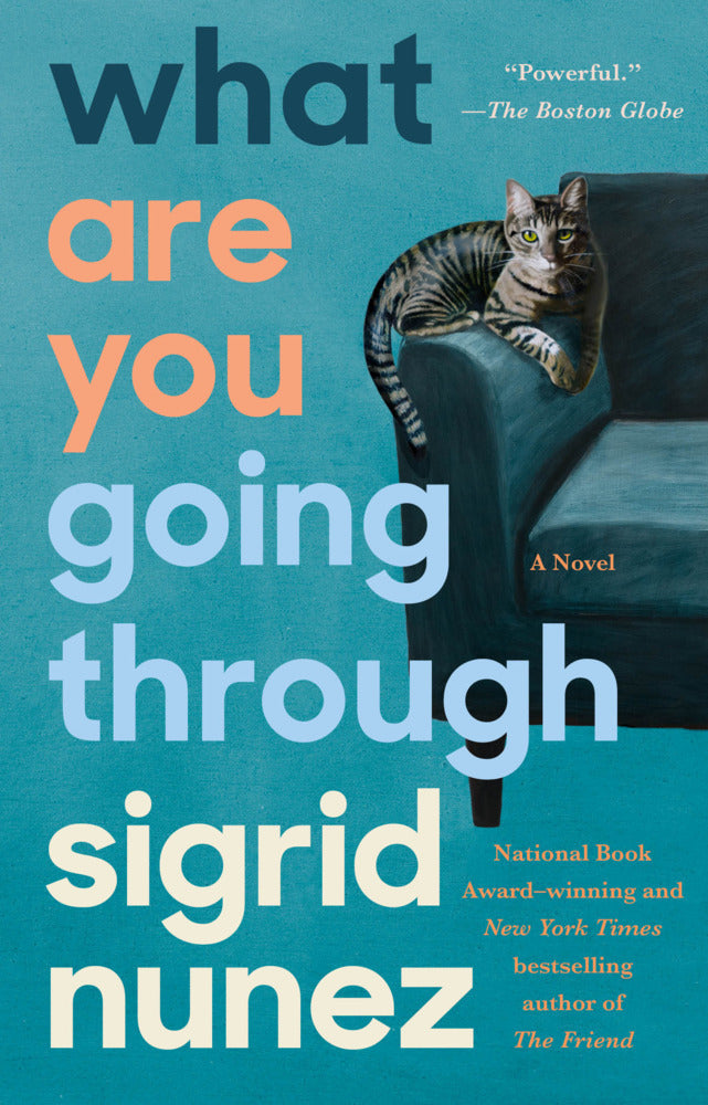 What Are You Going Through (Sigrid Nunez)